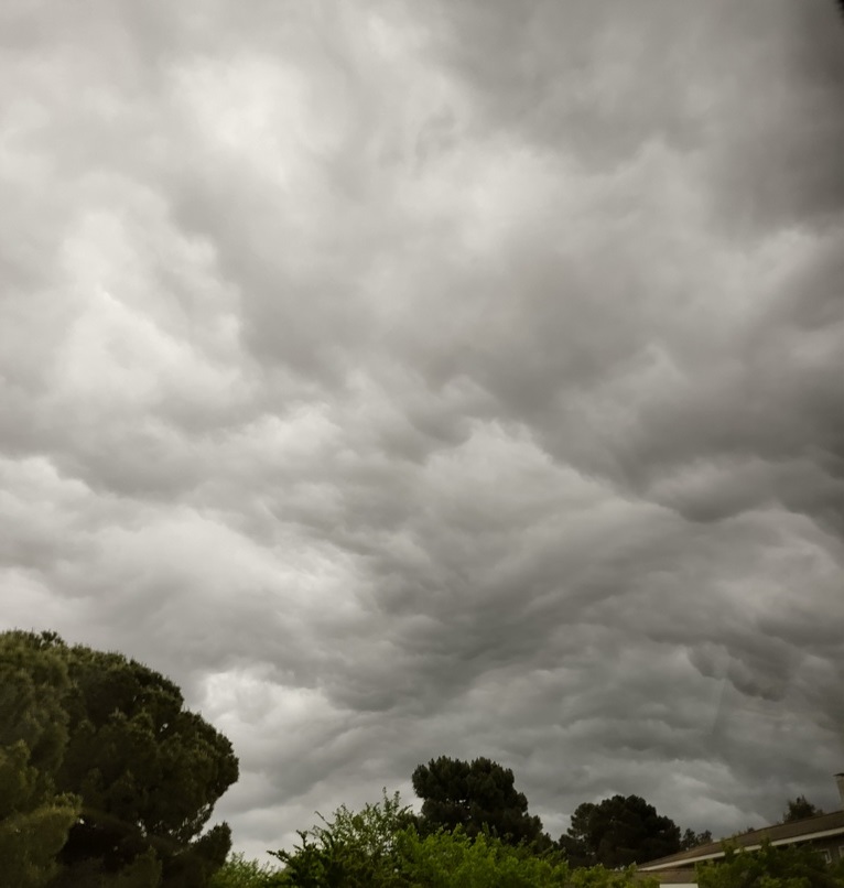 No s'ha trobat l'arxiu